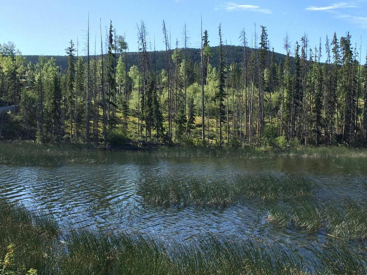 Lac Le Jeune Nature Resort Logan Lake Buitenkant foto