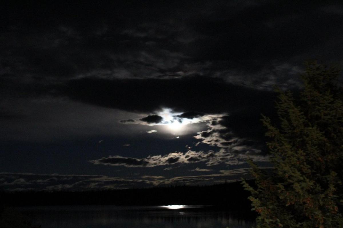 Lac Le Jeune Nature Resort Logan Lake Buitenkant foto