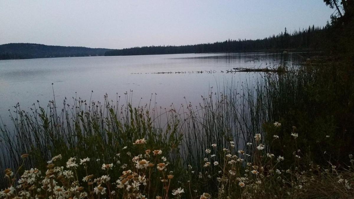 Lac Le Jeune Nature Resort Logan Lake Buitenkant foto